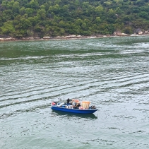 【尋「植」東涌：探索城市與自然的交融🌿 】..從一個寧靜的漁村到成為大嶼山的重要交通與商業樞紐，東涌的轉變既深刻又充滿爭議。「尋『植』東涌」社區導賞團再次出發，以生態與城市發展為主題，帶領參 (3)