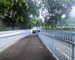 SnapInsta.to_520190132_17933997261060654_2030441656452353319_n