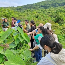 【 水 口 記 】水口村，一個「清涌覺樂」團隊從未踏足的地方。🌄一行人懷著不多的期望，帶著無數的未知，我走進了大嶼山南端的這個角落。未曾料到，一步步探索之中，驚喜卻不斷浮現。✨村內不僅有綠意 (4)