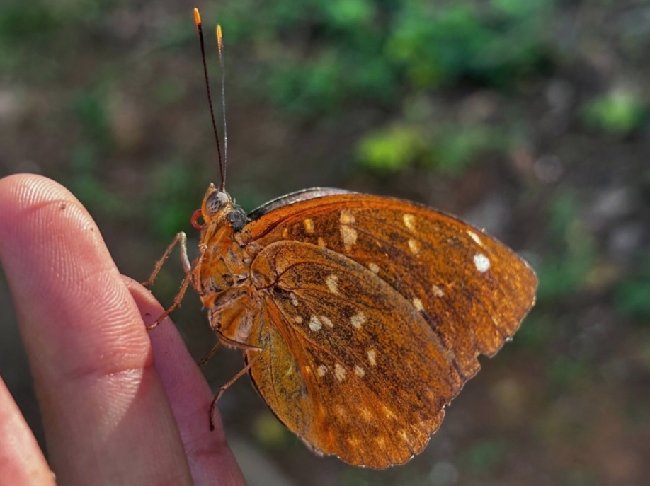 【 水 口 記 】水口村，一個「清涌覺樂」團隊從未踏足的地方。🌄一行人懷著不多的期望，帶著無數的未知，我走進了大嶼山南端的這個角落。未曾料到，一步步探索之中，驚喜卻不斷浮現。✨村內不僅有綠意