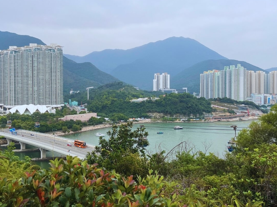 【尋「植」東涌：探索城市與自然的交融🌿 】..從一個寧靜的漁村到成為大嶼山的重要交通與商業樞紐，東涌的轉變既深刻又充滿爭議。「尋『植』東涌」社區導賞團再次出發，以生態與城市發展為主題，帶領參 (2)