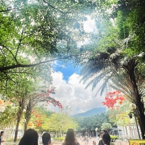 🌆一條千禧年落成的屋邨，二十年會經歷怎樣的變化？..我們漫步逸東邨，眼前是一頭金漆剝落的金牛，靜靜站在公園中央。它或許早已不再吸引目光，但多年來一直陪伴著居民的生活——孩子在旁玩耍、長者晨運 (4)