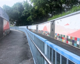 SnapInsta.to_517118396_17933997252060654_8422977432460057315_n