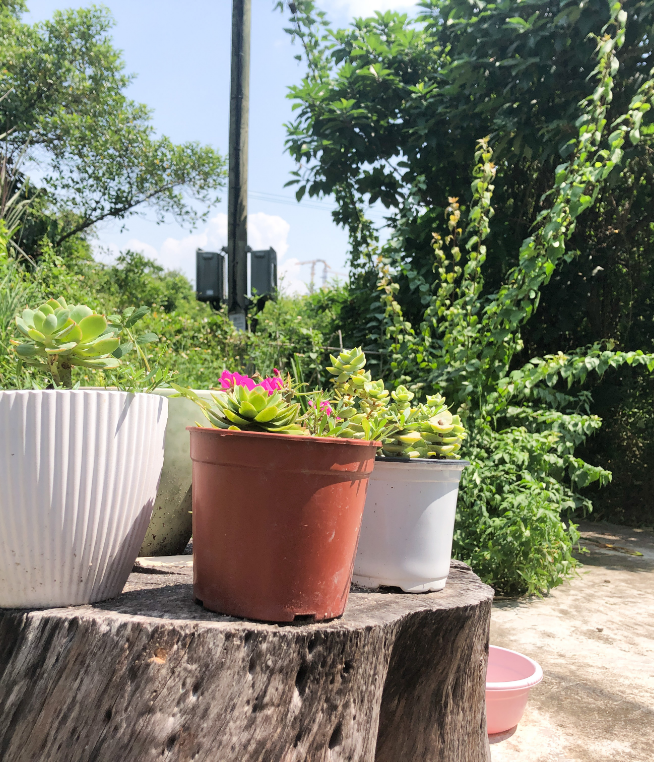 inner-banner-results