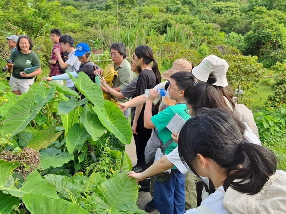 【 水 口 記 】水口村，一個「清涌覺樂」團隊從未踏足的地方。🌄一行人懷著不多的期望，帶著無數的未知，我走進了大嶼山南端的這個角落。未曾料到，一步步探索之中，驚喜卻不斷浮現。✨村內不僅有綠意 (4)