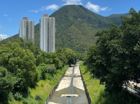 WhatsApp 圖片2025-08-1918.02.12_ea33c857