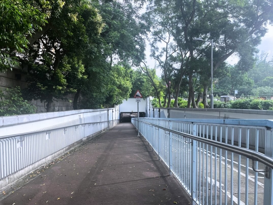 SnapInsta.to_520190132_17933997261060654_2030441656452353319_n