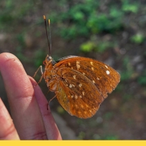 【 水 口 記 】水口村，一個「清涌覺樂」團隊從未踏足的地方。🌄一行人懷著不多的期望，帶著無數的未知，我走進了大嶼山南端的這個角落。未曾料到，一步步探索之中，驚喜卻不斷浮現。✨村內不僅有綠意
