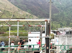 SnapInsta.to_491426818_17925499224060654_3375428304991956239_n