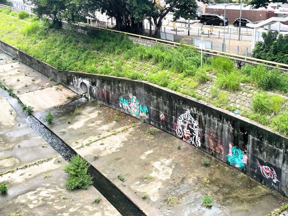 🌾【 三 姊 妹 回 憶 中 的 舊 東 涌 】🛖六月初星期六上午，我們如常在滿東天橋擺街站，竟然有意料之外的收穫，遇到回來探望母親的羅氏三姊妹，跟我們娓娓道來東涌數十年的改變。羅氏三姊妹 (3)