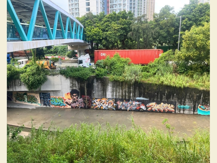 【 東 涌 行 走 間 的 牆 上 驚 喜 】🏞️八號風球前夕，東涌卻難得天朗氣清。「東涌有畫講」社區導賞團如常舉行，帶領參加者細看東涌壁畫背後的故事。我們沿着海堤石壆走去，牆上的壁畫十年間 (3)